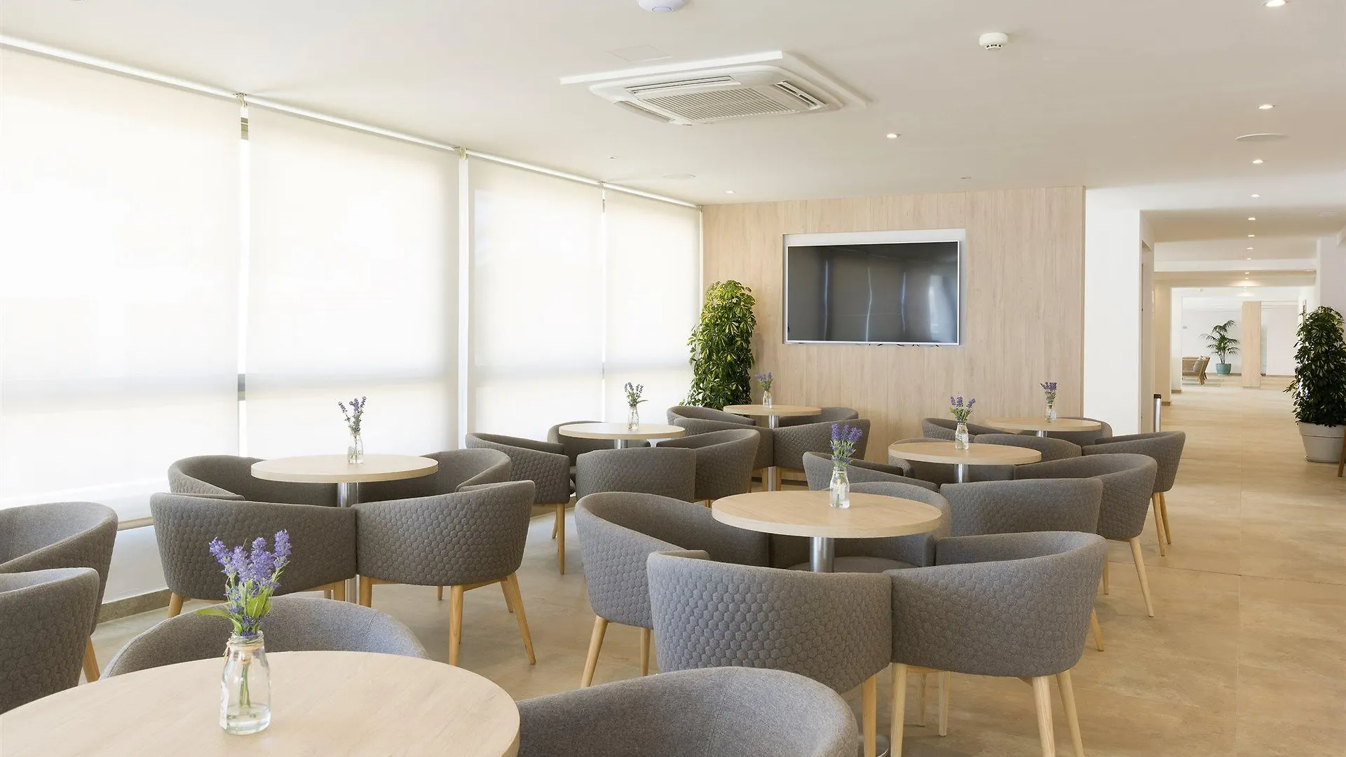 Hsm Regana - Adults Only Hotel Cala Ratjada  4*, Cala Ratjada (Mallorca)